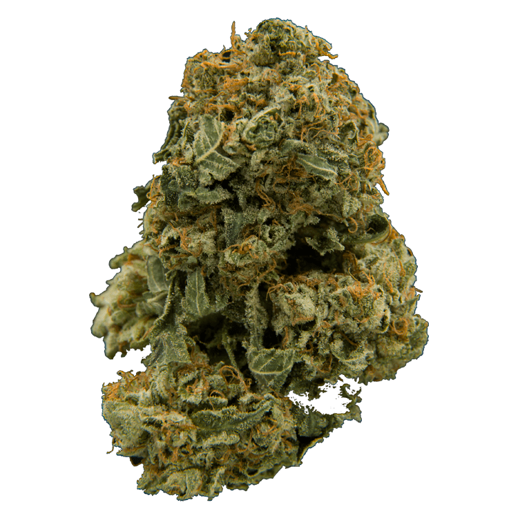 G-13 | BC Weed Edible Canada G-13 | BC Weed Edible Canada