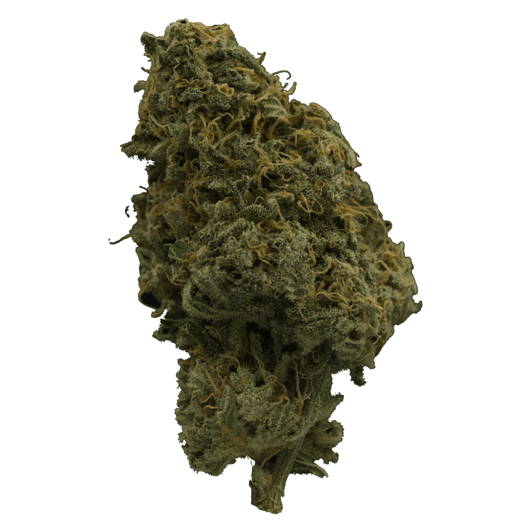 Chiesel | BC Weed Edible Canada Chiesel | BC Weed Edible Canada