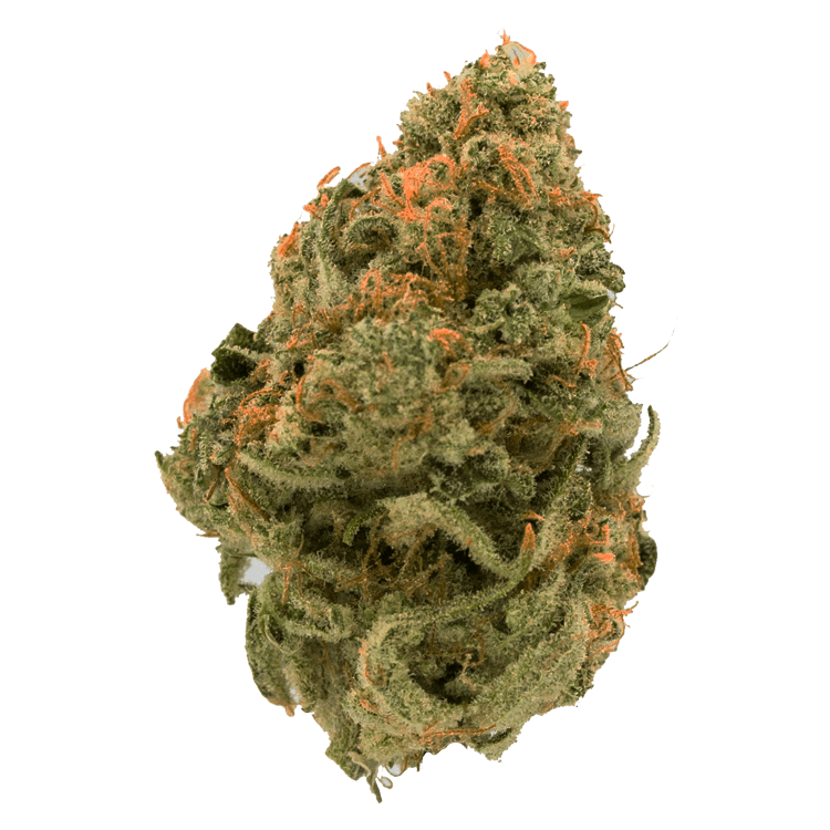 Durban Poison | BC Weed Edible Canada Durban Poison | BC Weed Edible Canada