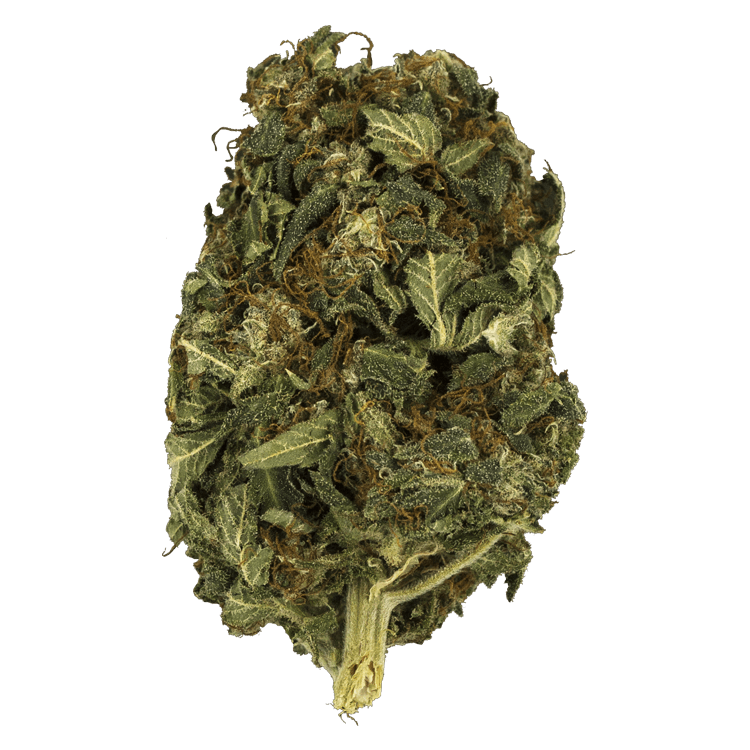 Midnight – 1 ounce (High CBD) | BC Weed Edible Canada Midnight – 1 ounce (High CBD) | BC Weed Edible Canada