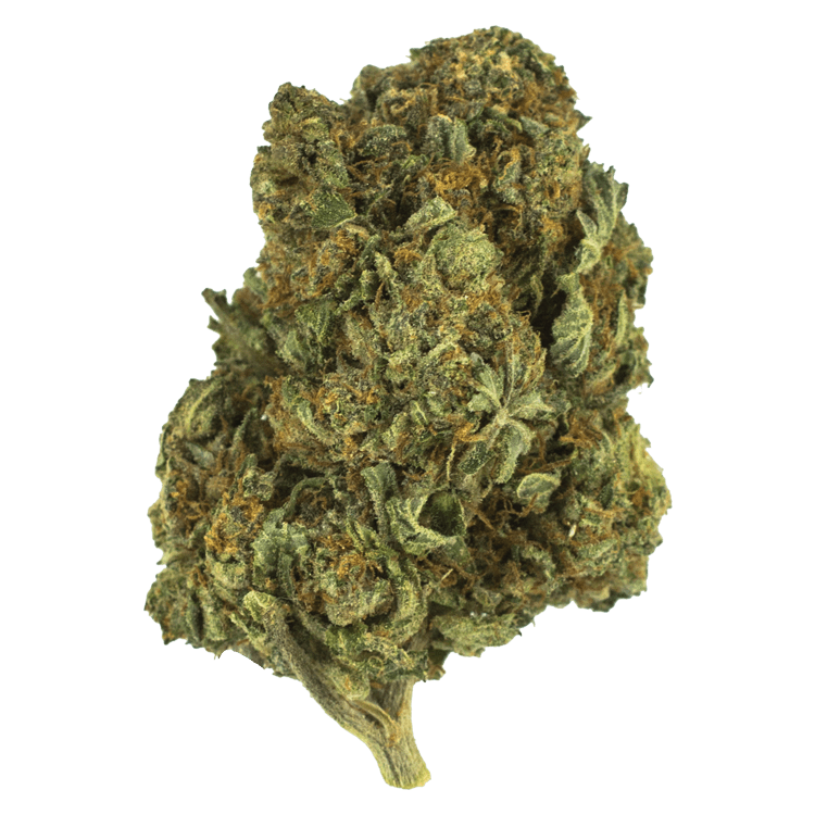 Berry White – 1 ounce | BC Weed Edible Canada Berry White – 1 ounce | BC Weed Edible Canada