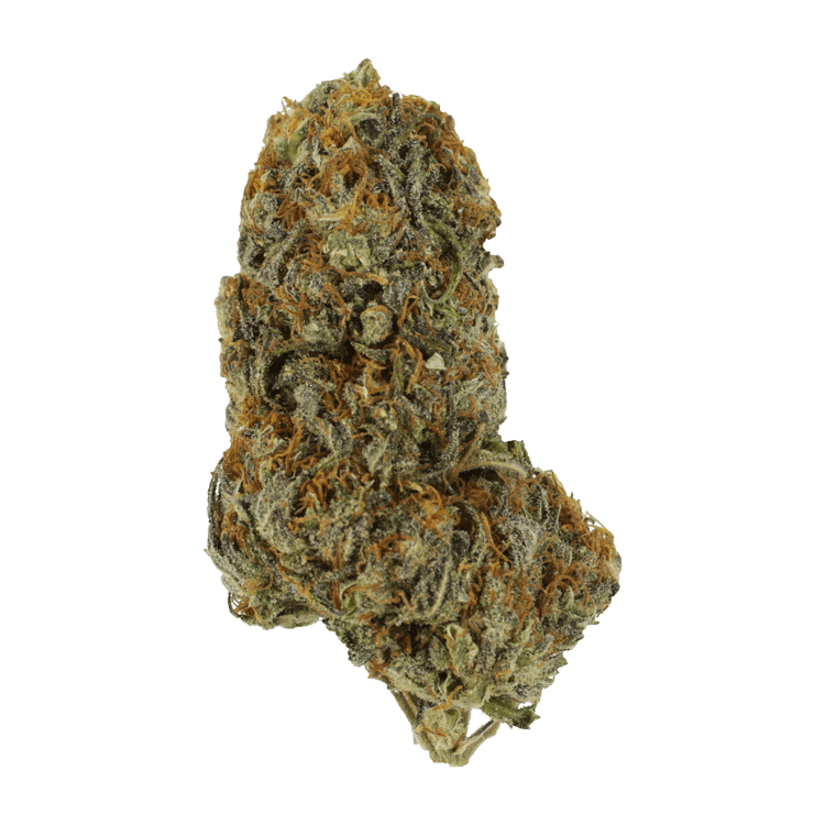 Dojaberry | BC Weed Edible Canada Dojaberry | BC Weed Edible Canada