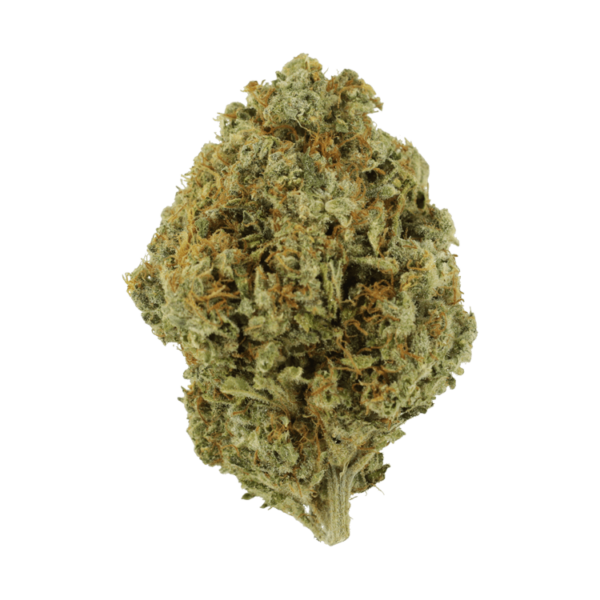 Orange Barb | BC Weed Edible Canada Orange Barb | BC Weed Edible Canada