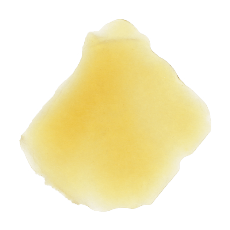 Dickpunch Extracts – Death Bubba (Indica) – 1g | BC Weed Edible Canada Dickpunch Extracts – Death Bubba (Indica) – 1g | BC Weed Edible Canada