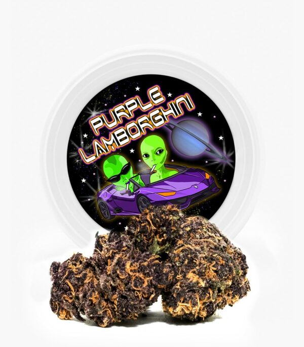 Westcoast Cali Tins – Premium Flower – Purple Lamborghini – 3.5g | BC Weed Edible Canada