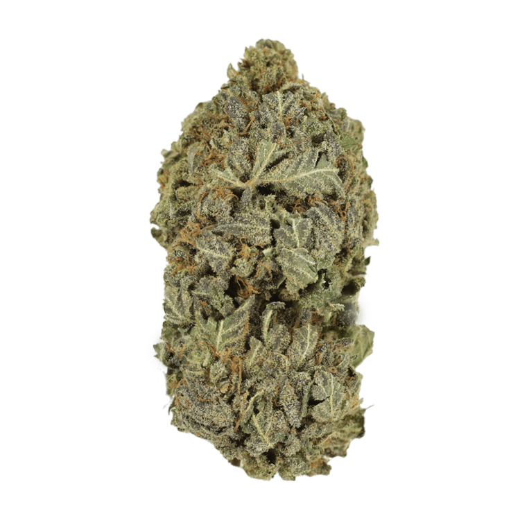 Purple Dream | BC Weed Edible Canada Purple Dream | BC Weed Edible Canada