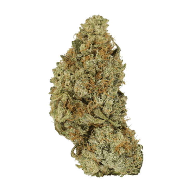 Pink Hawaiian | BC Weed Edible Canada Pink Hawaiian | BC Weed Edible Canada