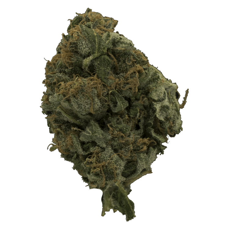 Sweet Cheese $45 / OZ | BC Weed Edible Canada Sweet Cheese $45 / OZ | BC Weed Edible Canada