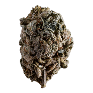 Emergen C | BC Weed Edible Canada Emergen C | BC Weed Edible Canada